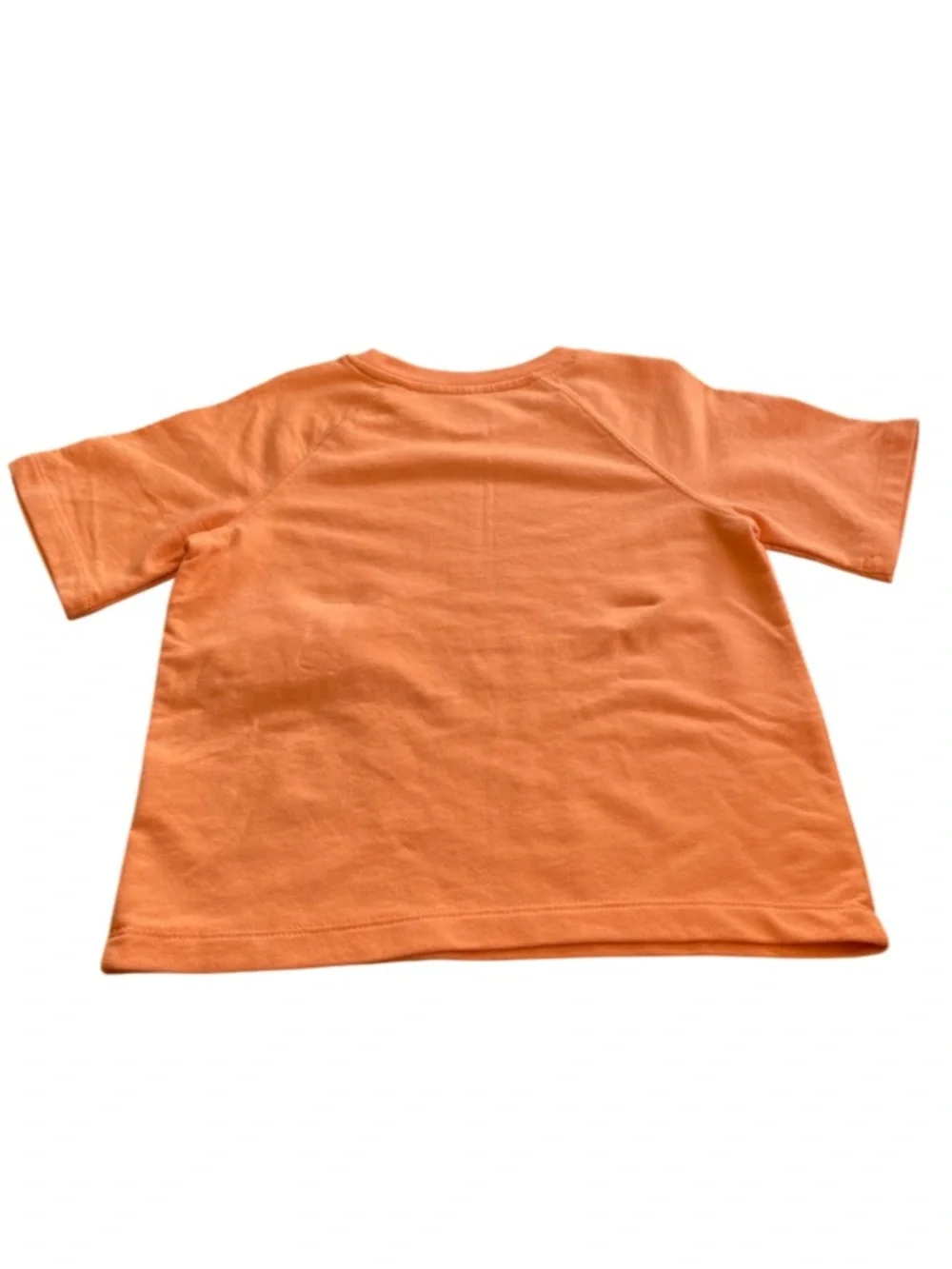 Boys Sz 4 Apricot Shorts Set
